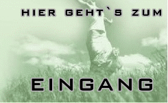 hier geht`s zum Shop